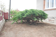 zahradnictvi
